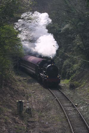 dcsam884